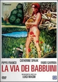 La via dei babbuini cover