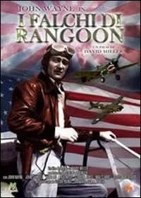 Flying Tigers cover