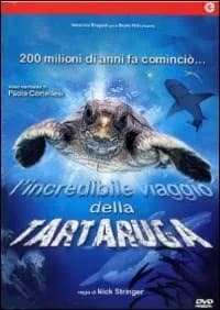 Turtle: The Incredible Journey cover