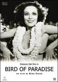 Bird of Paradise cover