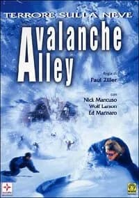 Avalanche Alley cover
