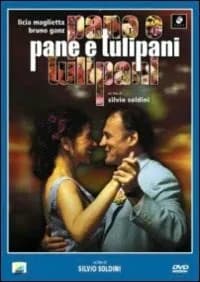 Pane e tulipani cover