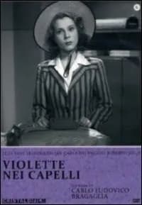 Violette nei capelli cover