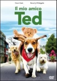 Aussie and Ted's Great Adventure cover