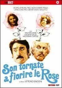Son tornate a fiorire le rose cover