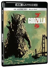 Godzilla cover