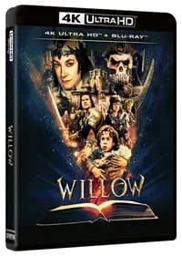 Willow cover