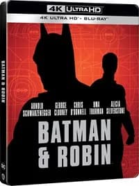 Batman & Robin cover