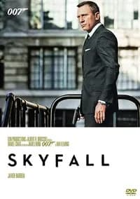 Skyfall cover