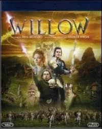 Willow cover