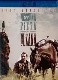 Ulzana's Raid cover