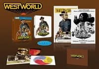 Westworld cover