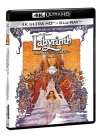 Labyrinth cover