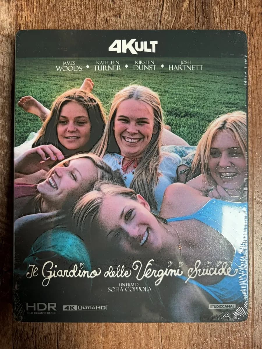 The Virgin Suicides cover
