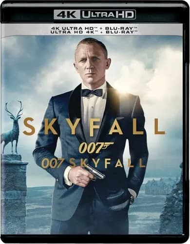 Skyfall cover