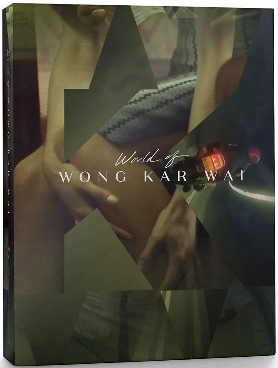 The World of Wong Kar Wai cover