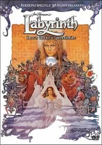 Labyrinth cover