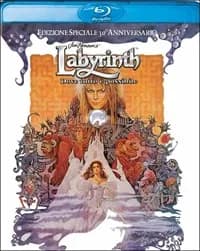 Labyrinth cover