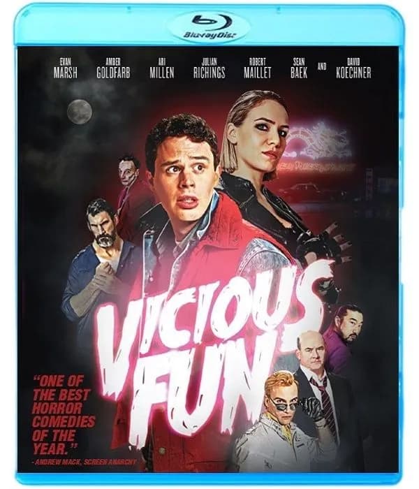 Vicious Fun cover