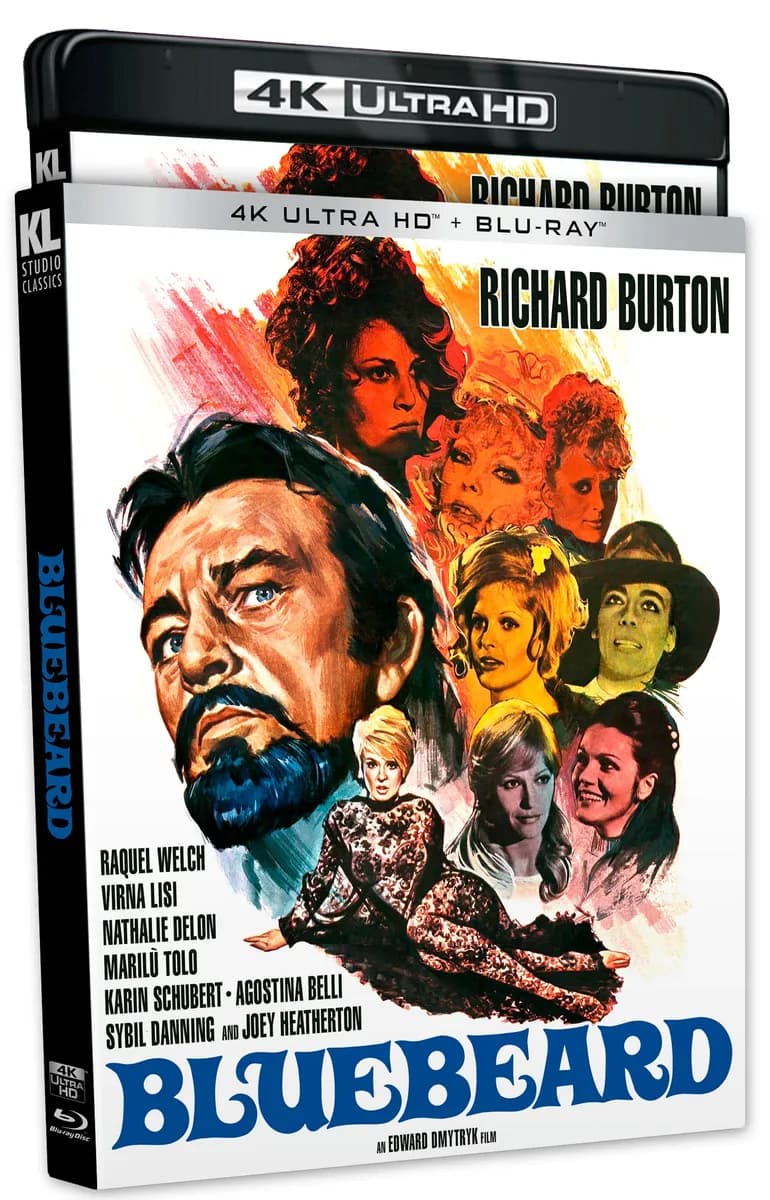 Bluebeard cover