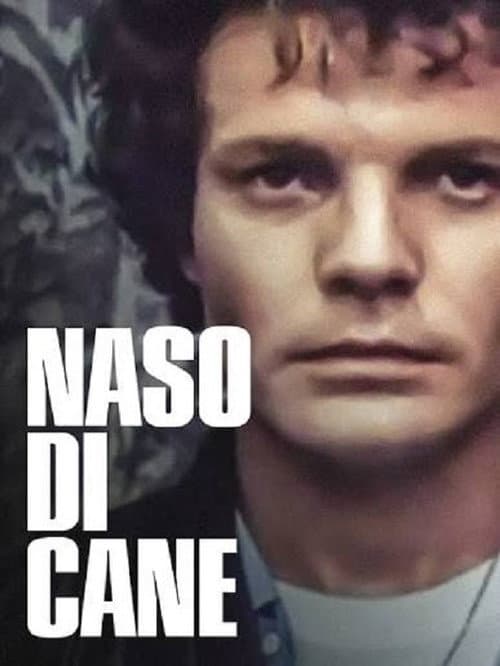 Naso di cane poster