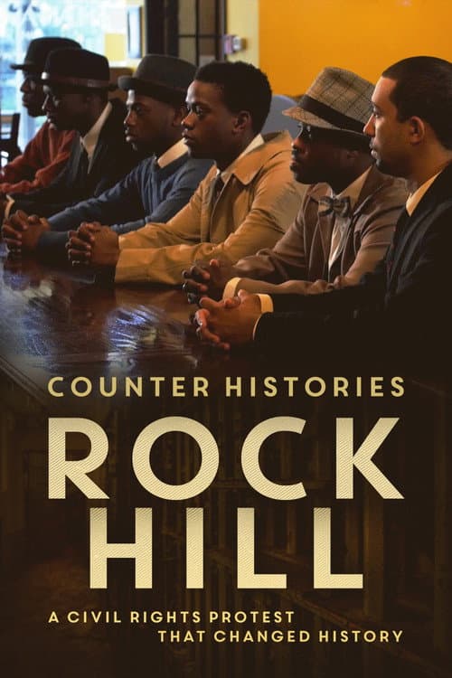 Counter Histories: Rock Hill poster