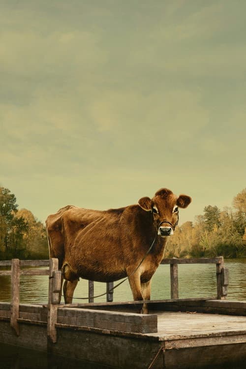 First Cow cover