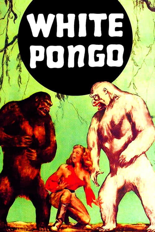 White Pongo cover