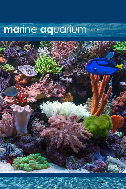 Marine Aquarium poster