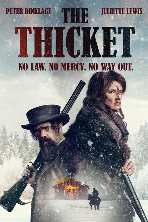 The Thicket poster