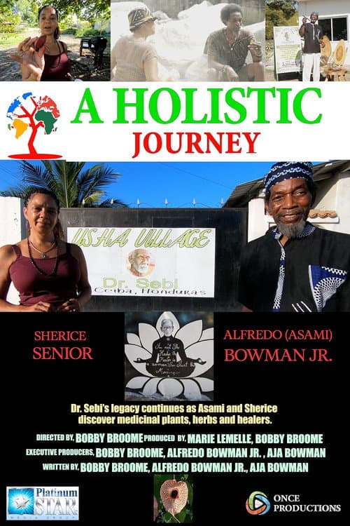 A Holistic Journey poster