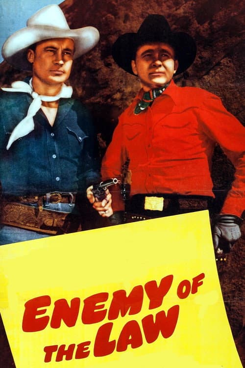 Enemy of the Law cover
