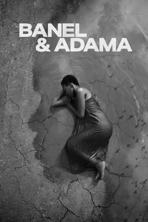 Banel & Adama cover