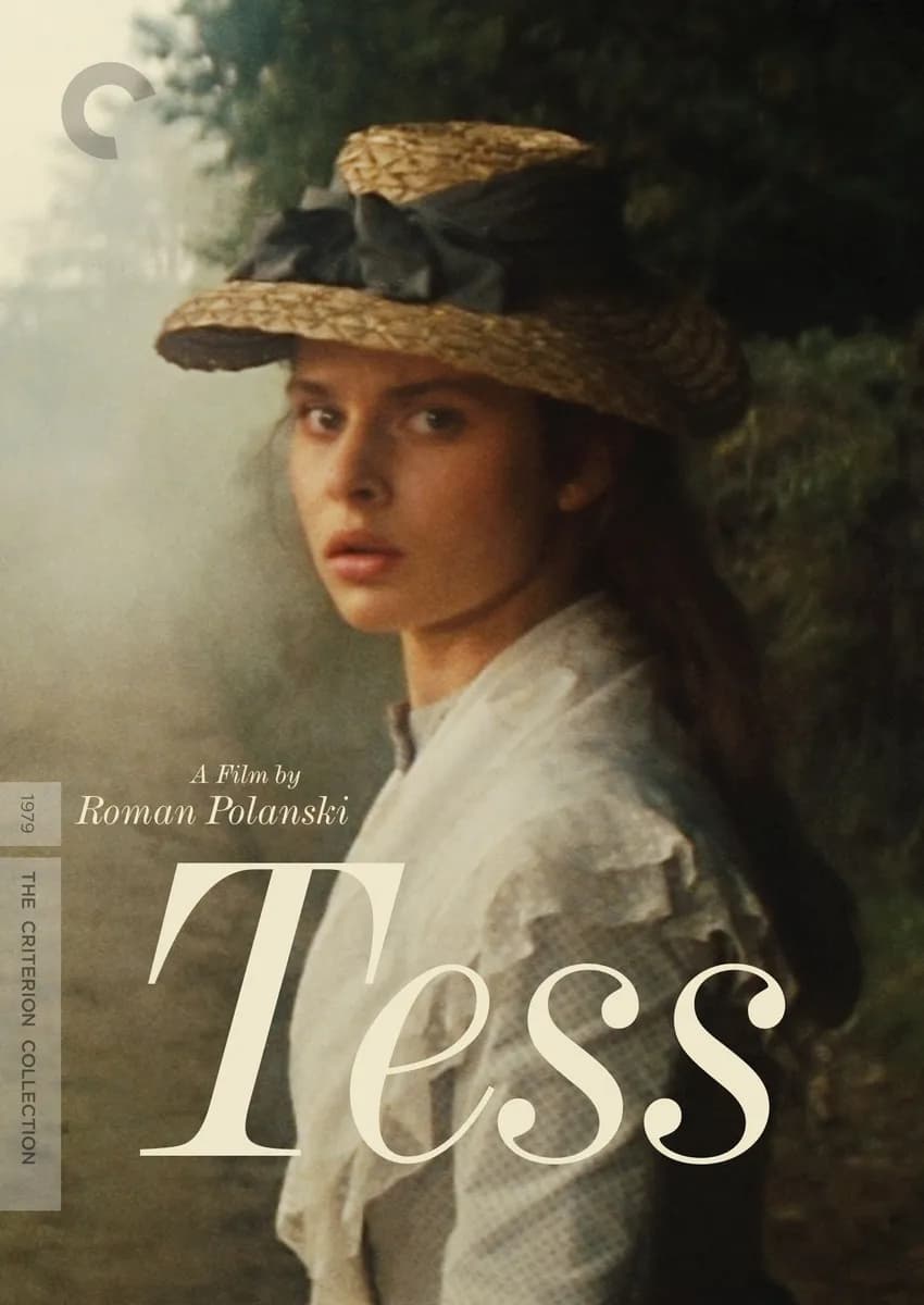 Tess cover