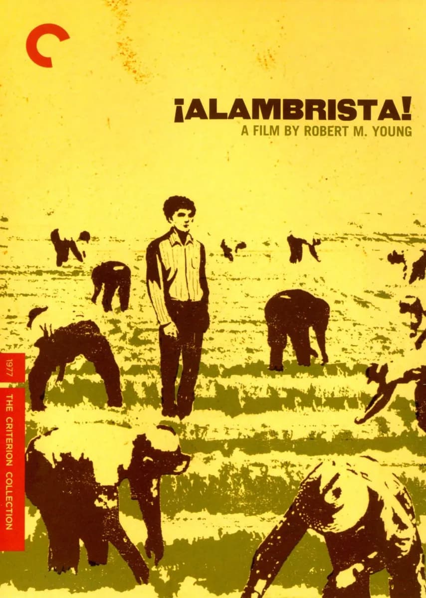 Alambrista! cover
