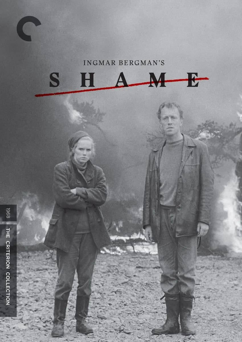 Shame cover