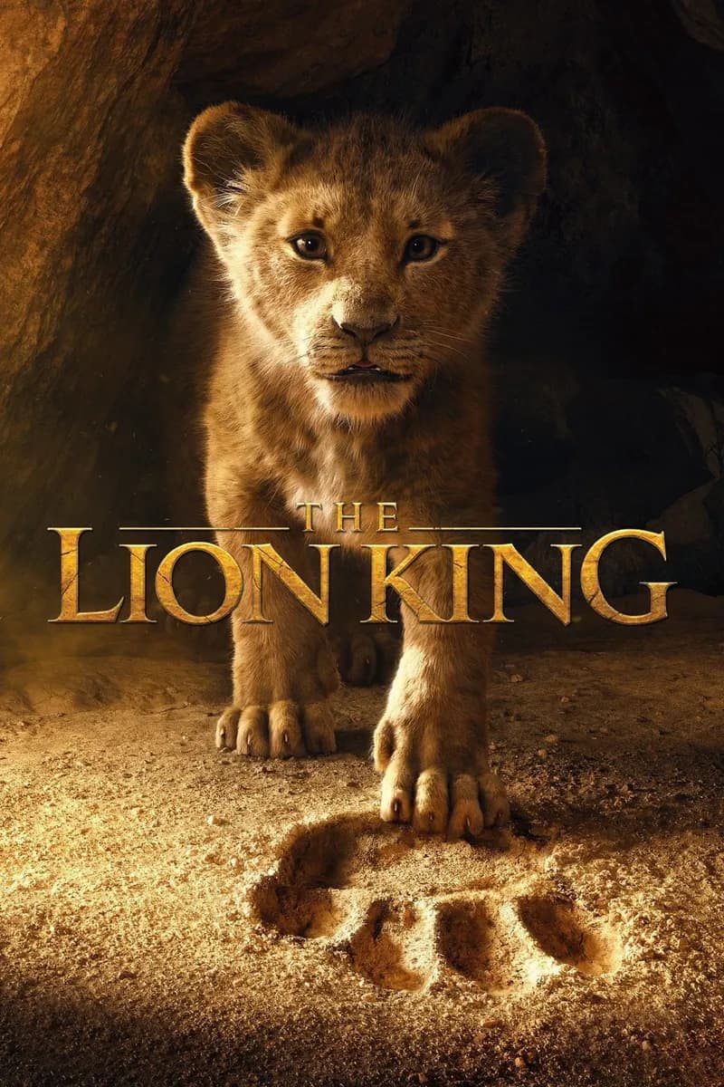 The Lion King cover