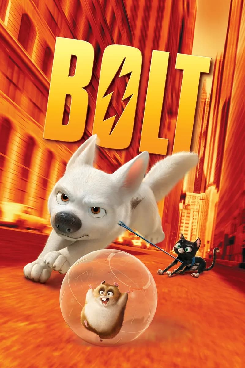 Bolt cover