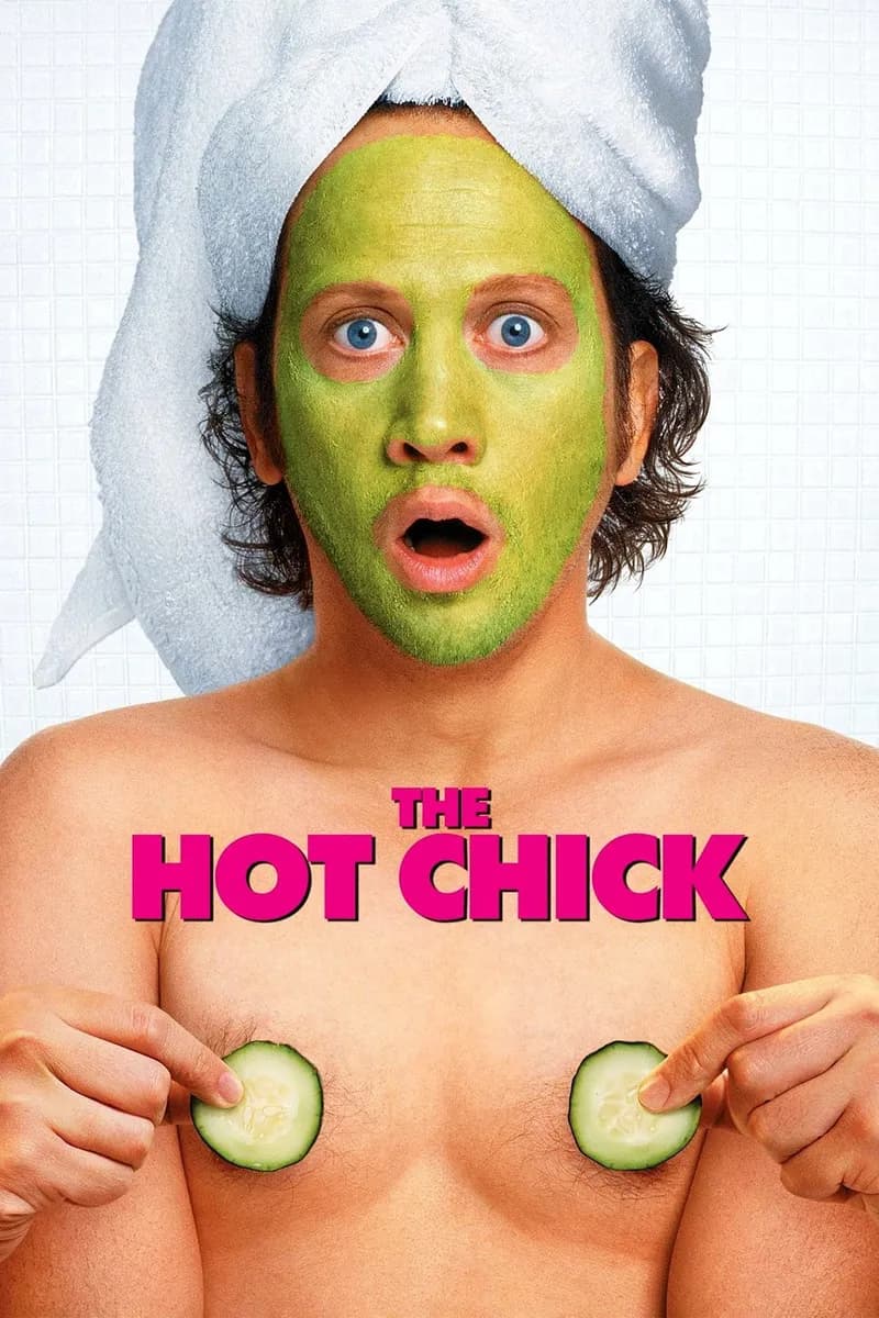 The Hot Chick cover