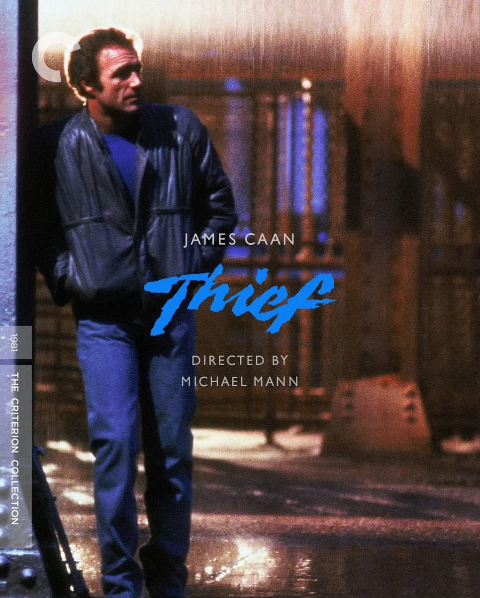 Thief cover