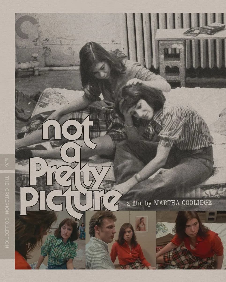 Not a Pretty Picture cover