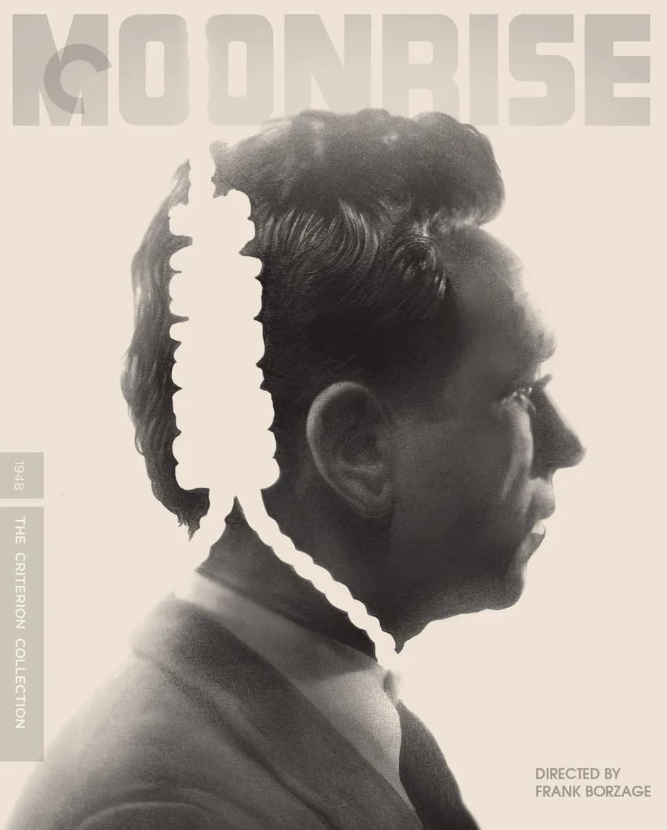 Moonrise cover