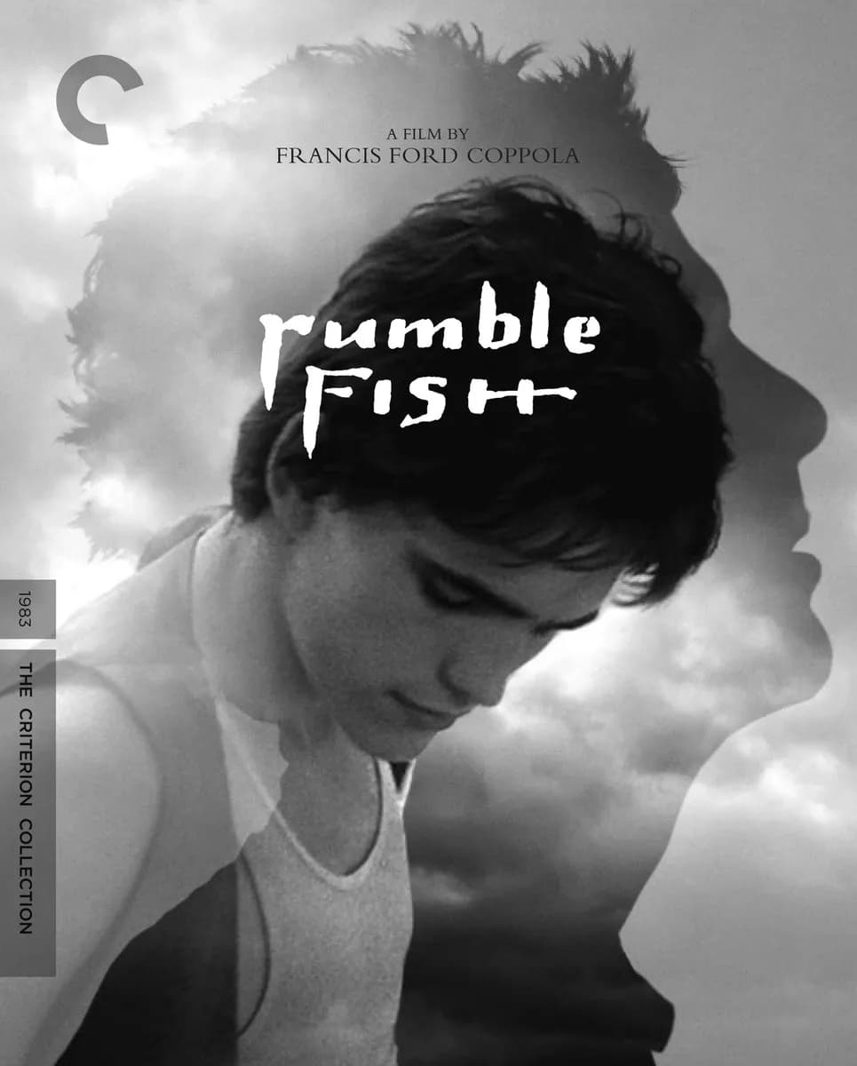 Rumble Fish cover