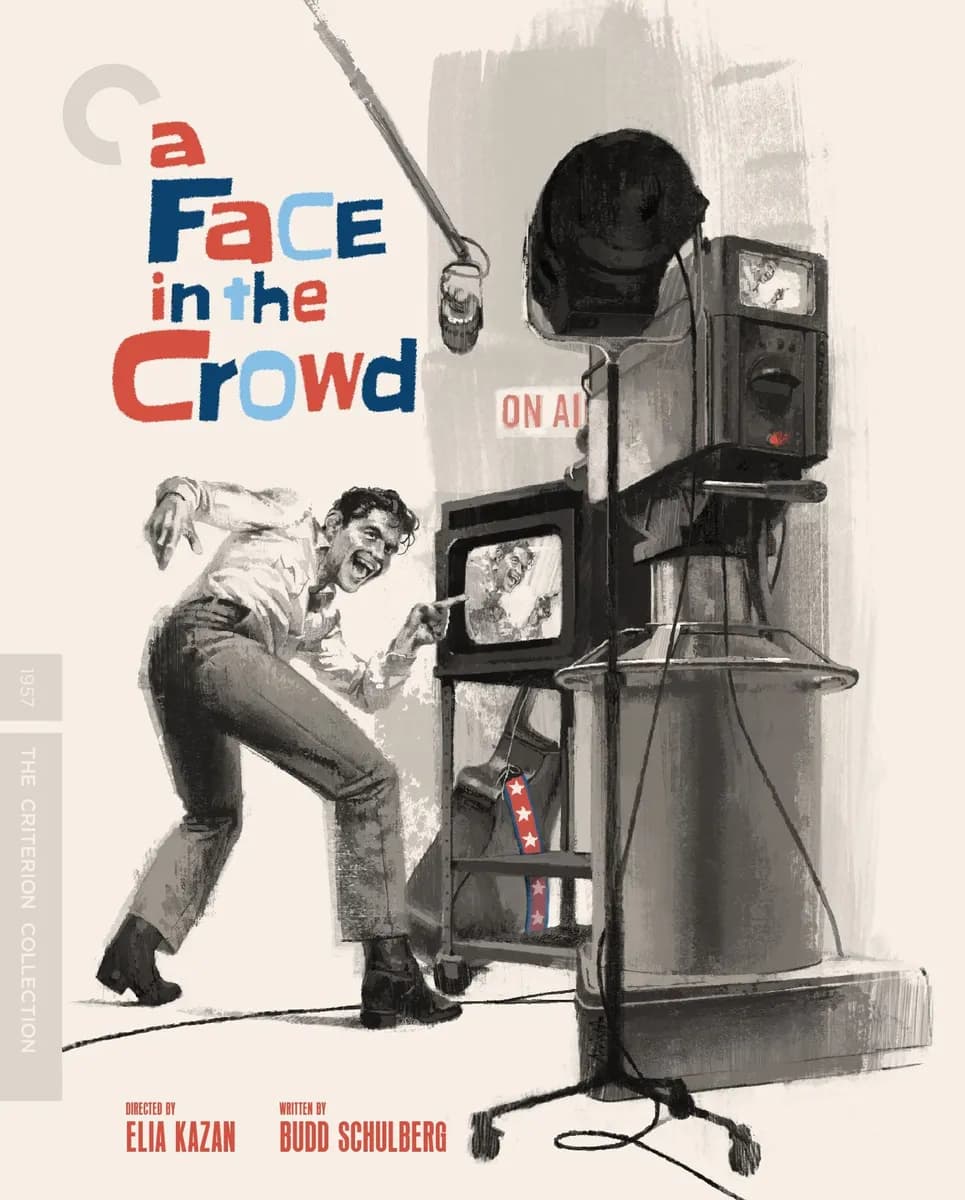 A Face in the Crowd cover