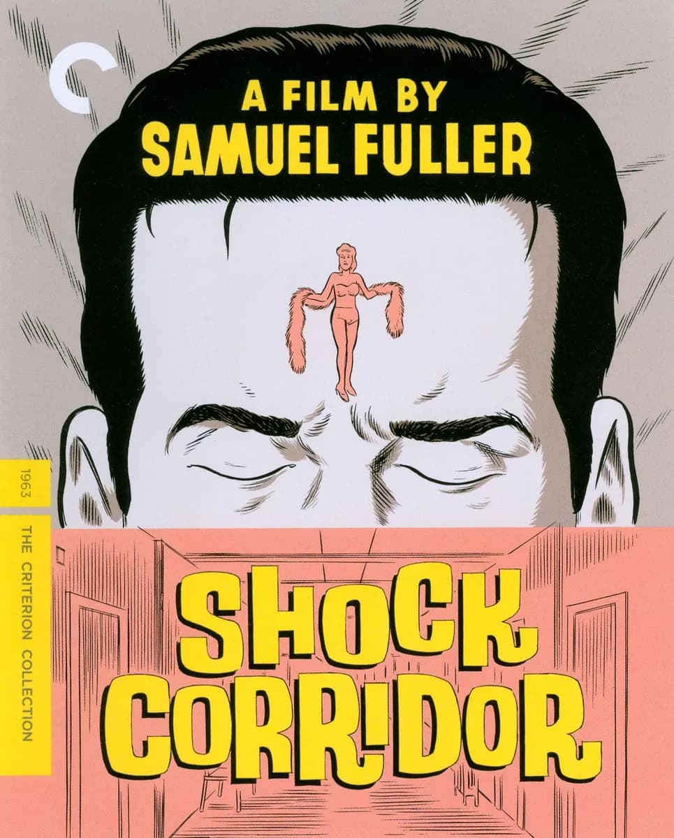 Shock Corridor cover