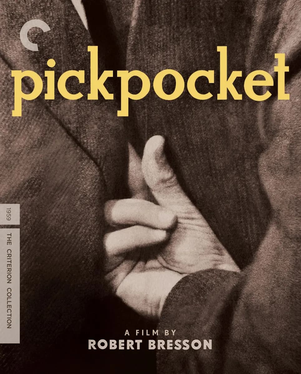 Pickpocket cover