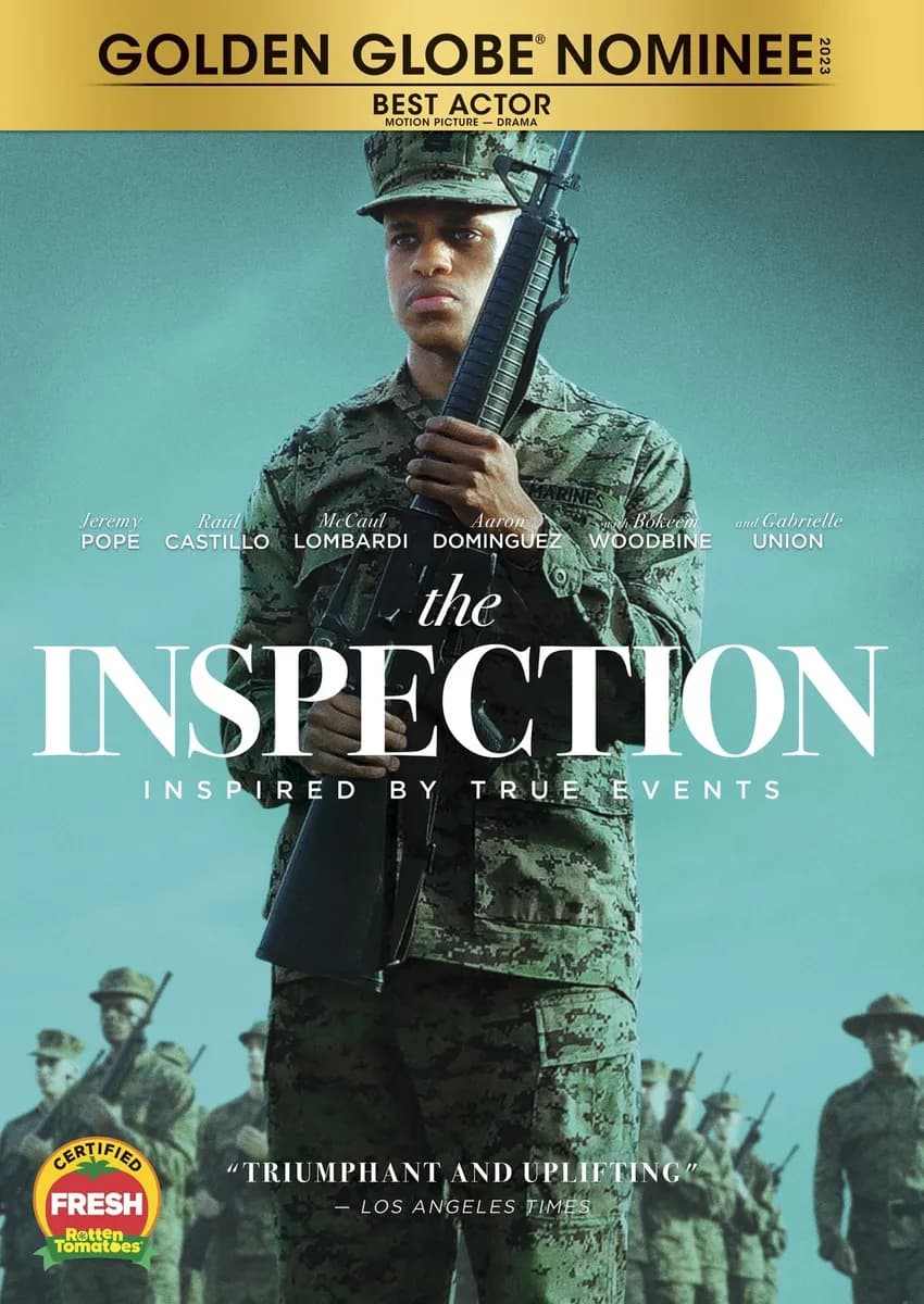 The Inspection cover