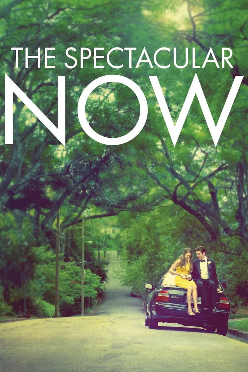 The Spectacular Now cover
