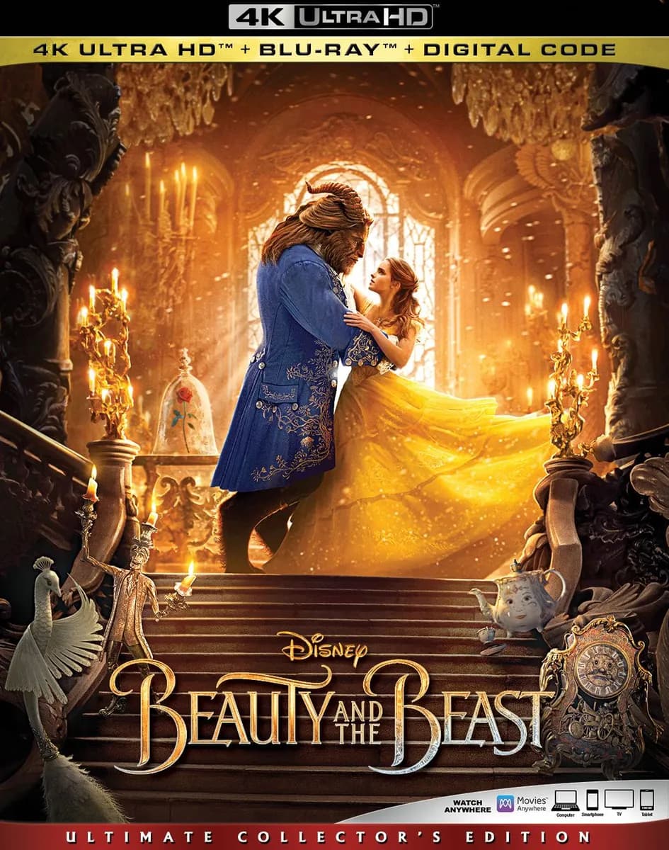 Beauty and the Beast cover