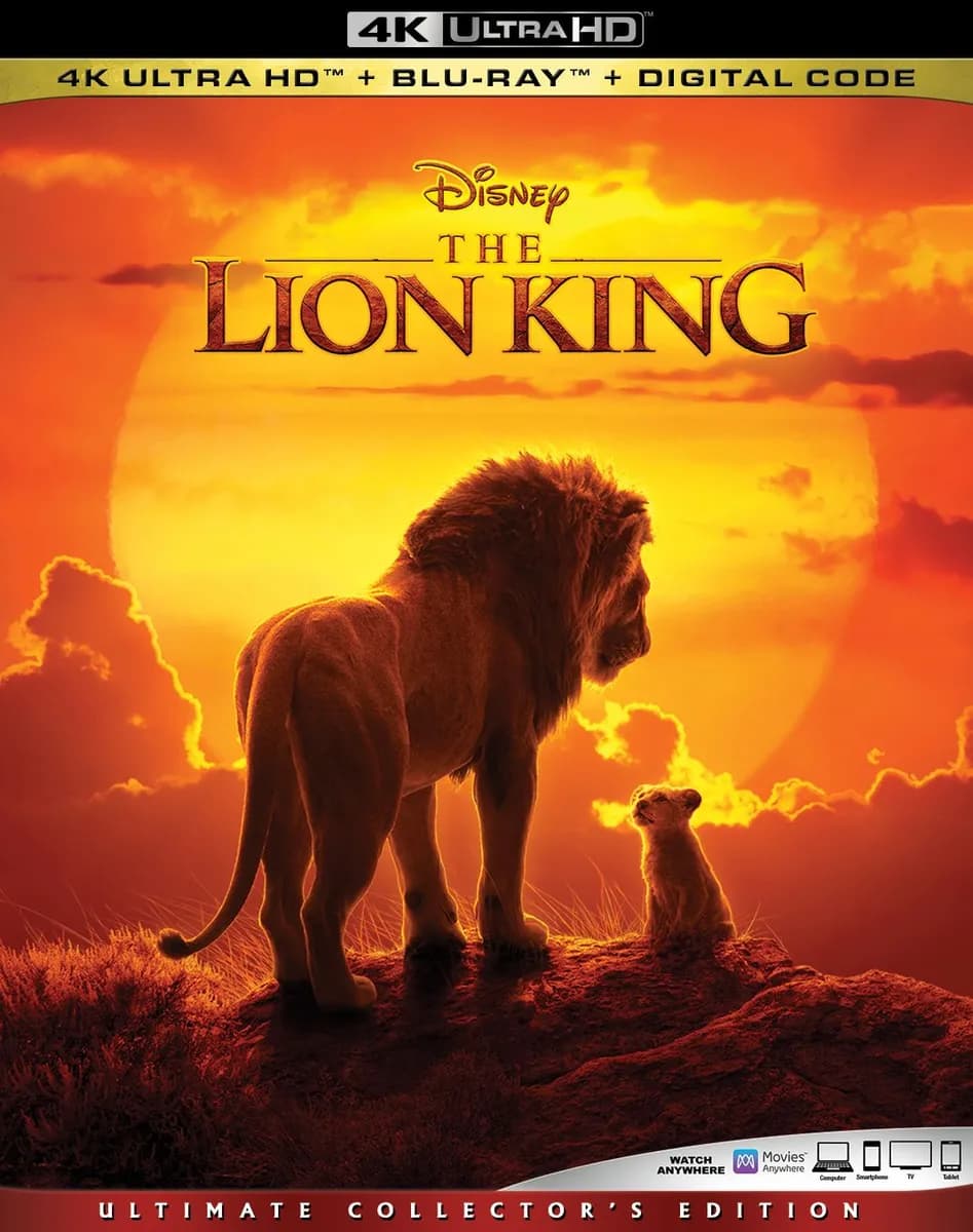 The Lion King cover
